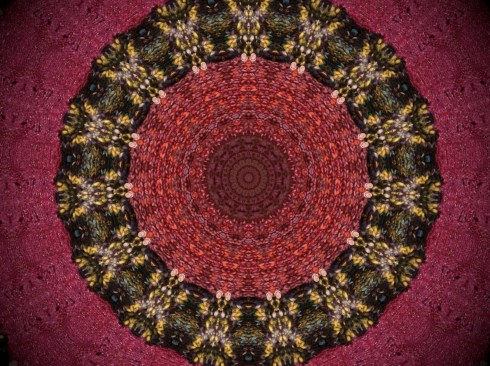 Kaleidescope