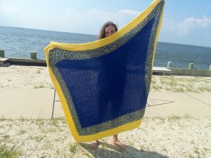 Blue Hen Blankie by Eledixon