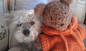 Febea & Barrison were fast friends.