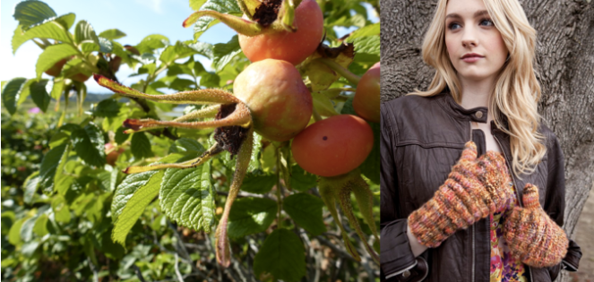 Screen Shot 2013-08-19 at 9.38.55 AM