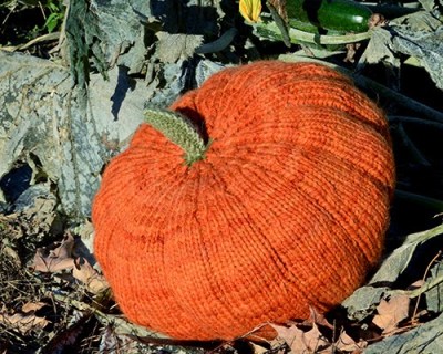 The Harvest Pumpkin by Bonnie Burton