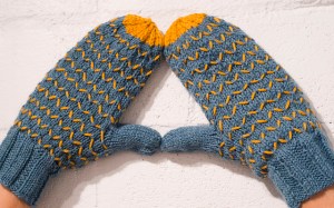Zig Zag Mittens by Joleen Kraft