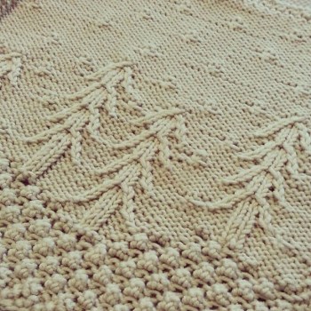 1461267_900363846663871_4697982214953748687_n_medium2