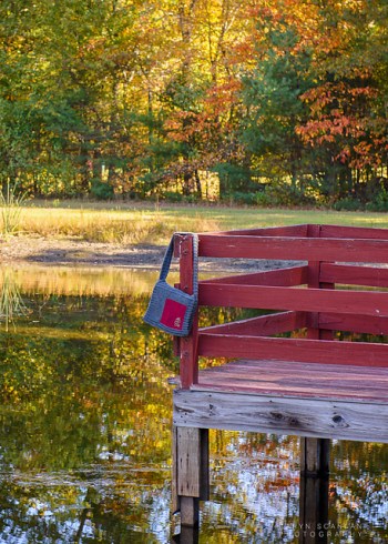 Kvitt by Talitha Kuomi