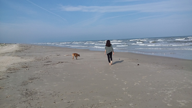 Poncho_distance_medium2