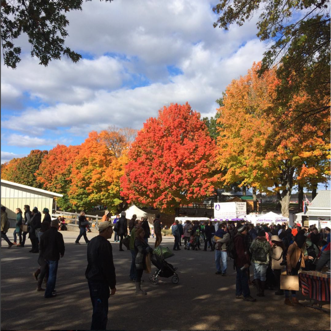 Screenshot 2016-03-17 11.36.30